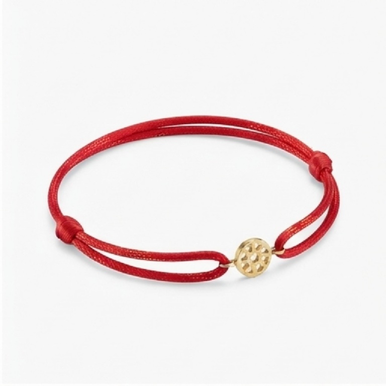 Escapulário em Ouro Amarelo 18k